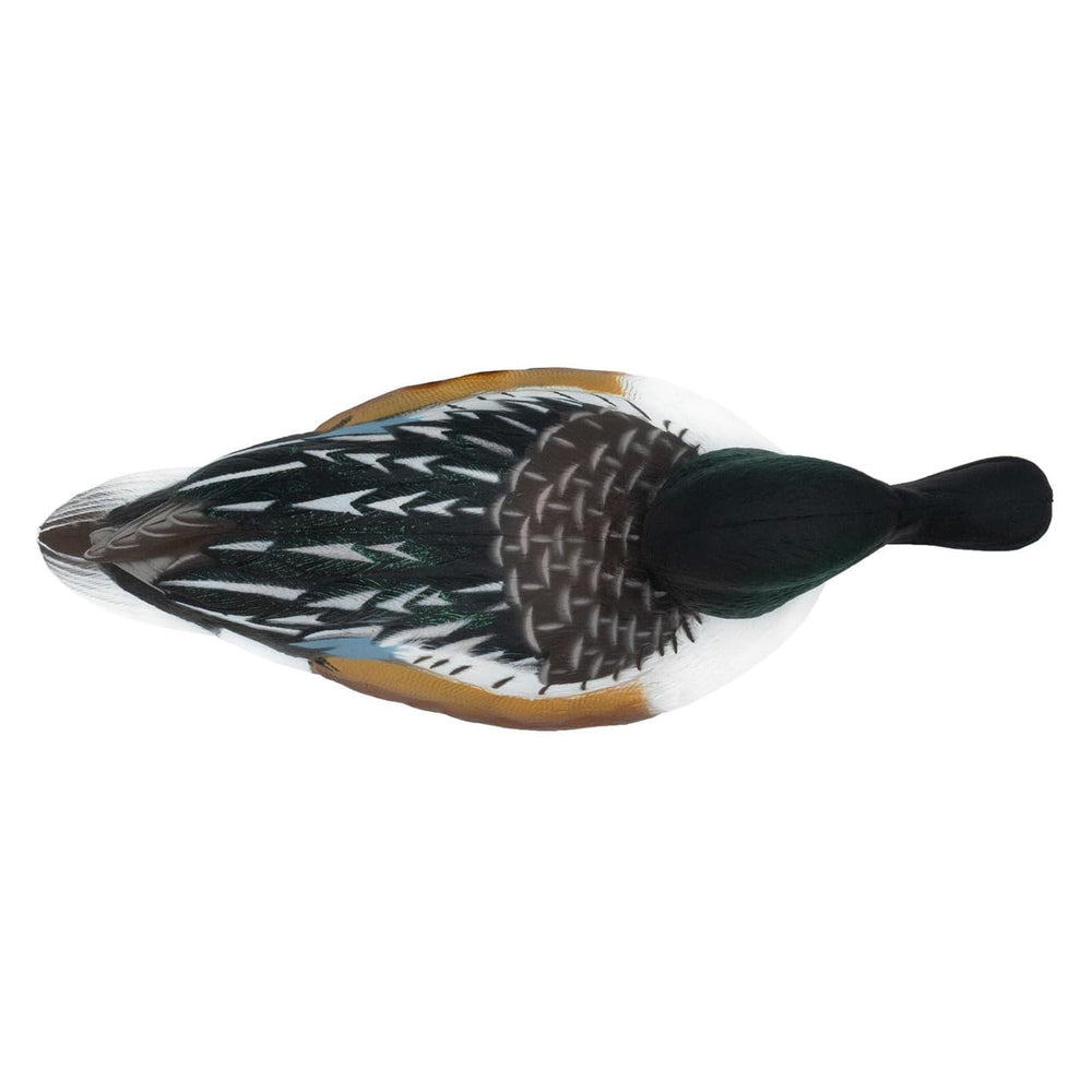Final Approach Live Floating Northern Shovelers green pack front view on calm water.