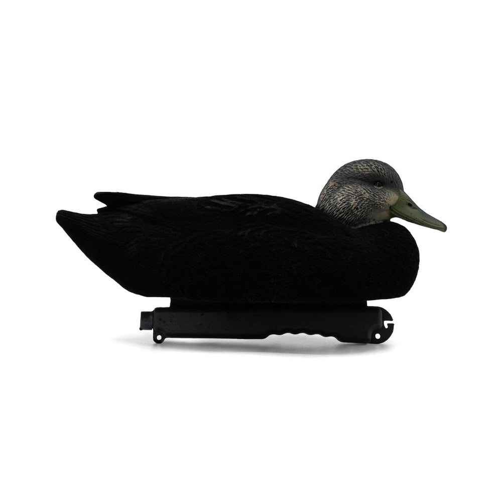 Final Approach live flocked black duck decoys flocked body texture enhances realism on water.