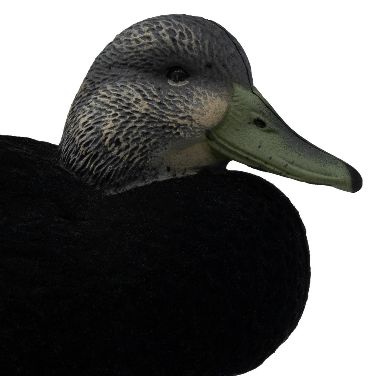 Final Approach live flocked black duck decoys arranged on a marsh edge for realistic setup.
