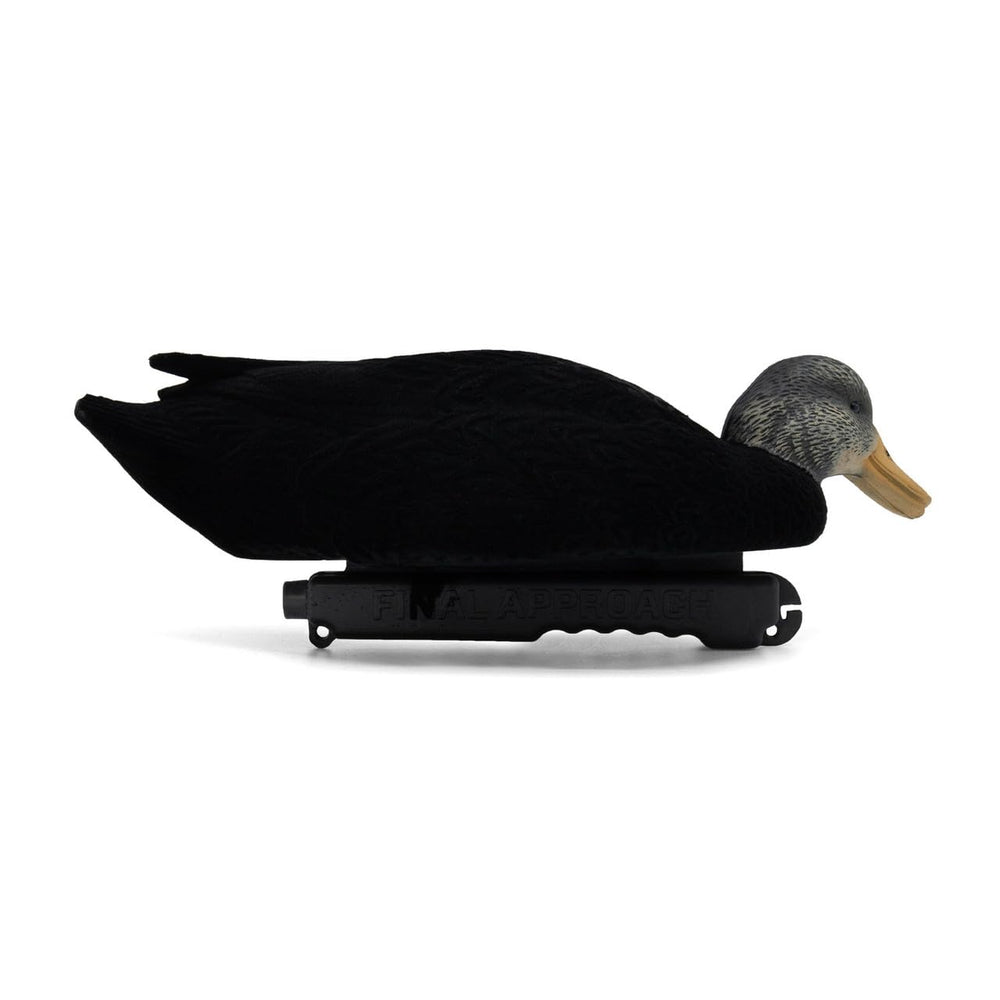 Final Approach live flocked black duck decoys feather detail by Pat Godin enhances lifelike appearance.