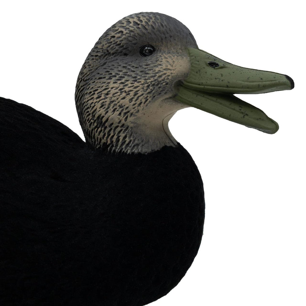 Final Approach live flocked black duck decoys assortment includes upright, low-head, and feeder poses.