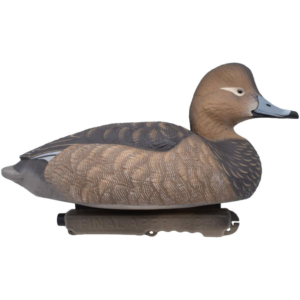 Final Approach live foam-filled redhead duck decoy with three attachment points for setup.