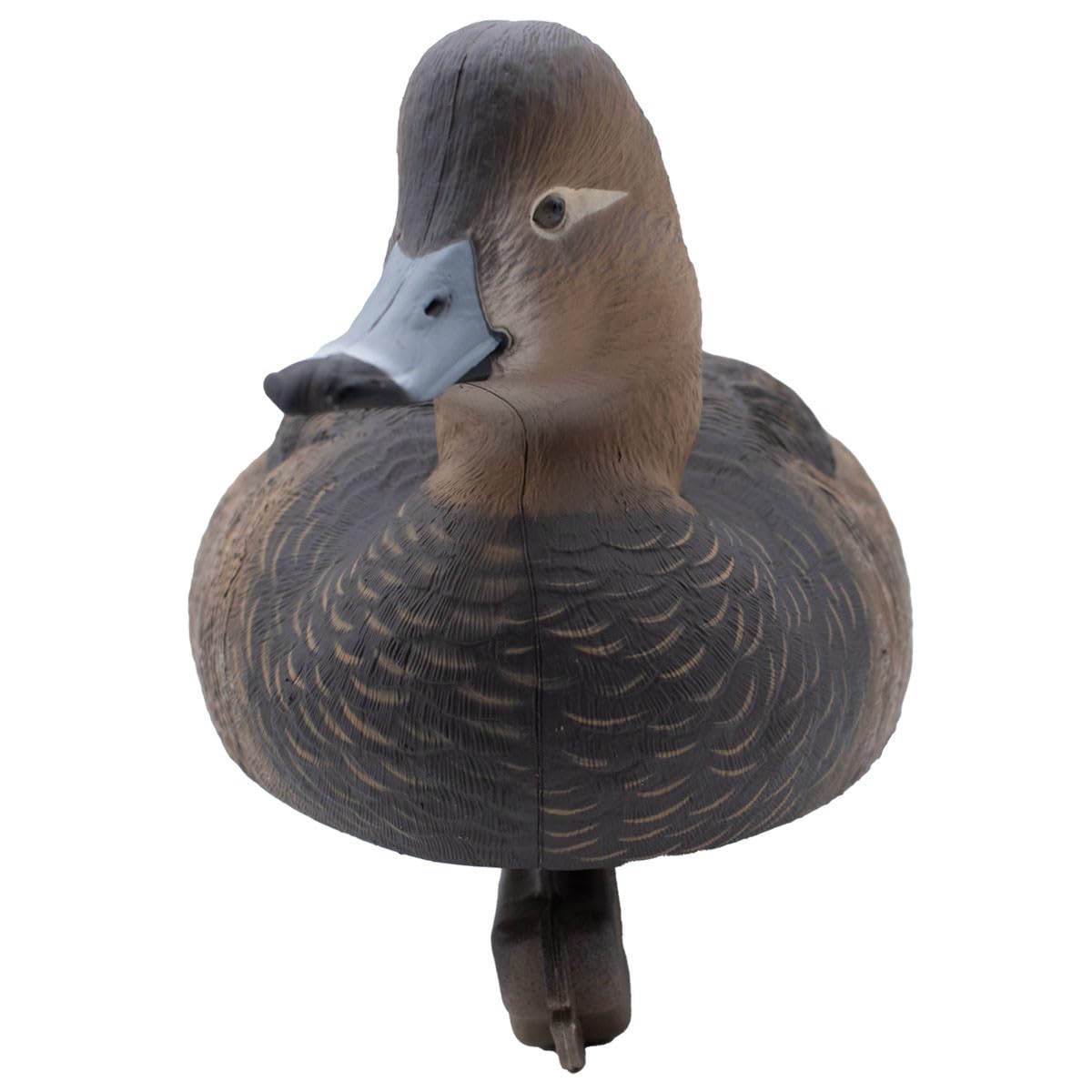 Final Approach foam-filled redhead decoy foam-core design supports buoyant field use.