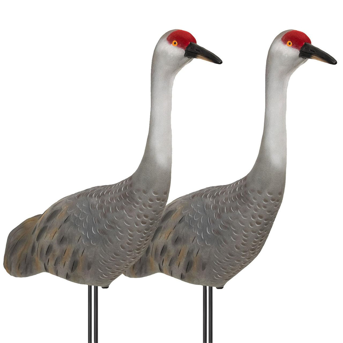 Final Approach Live fully flocked Sandhill Crane upright decoy with lifelike eyes for realistic field setups.