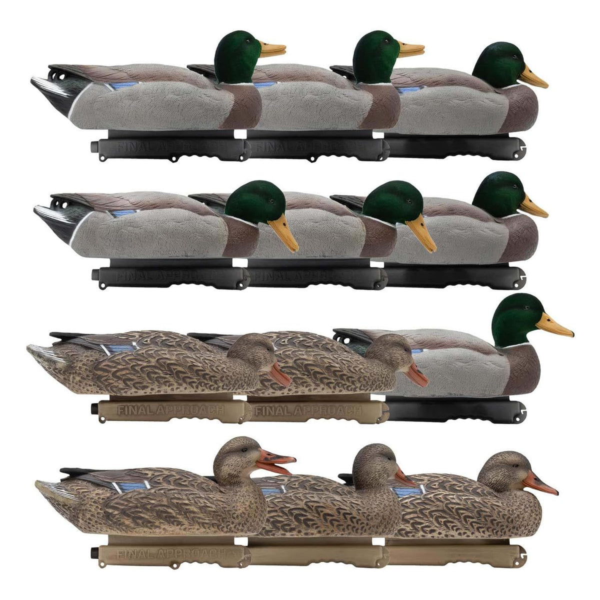 Final Approach Live Mallard EVA floaters with drake drinkers for realistic spread