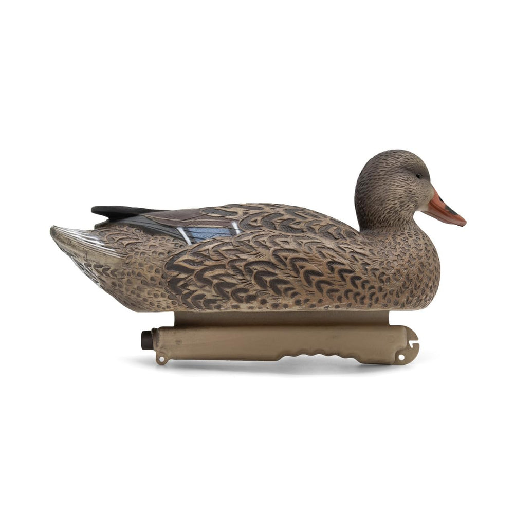 Final Approach EVA floaters low-head hens balanced decoys in water