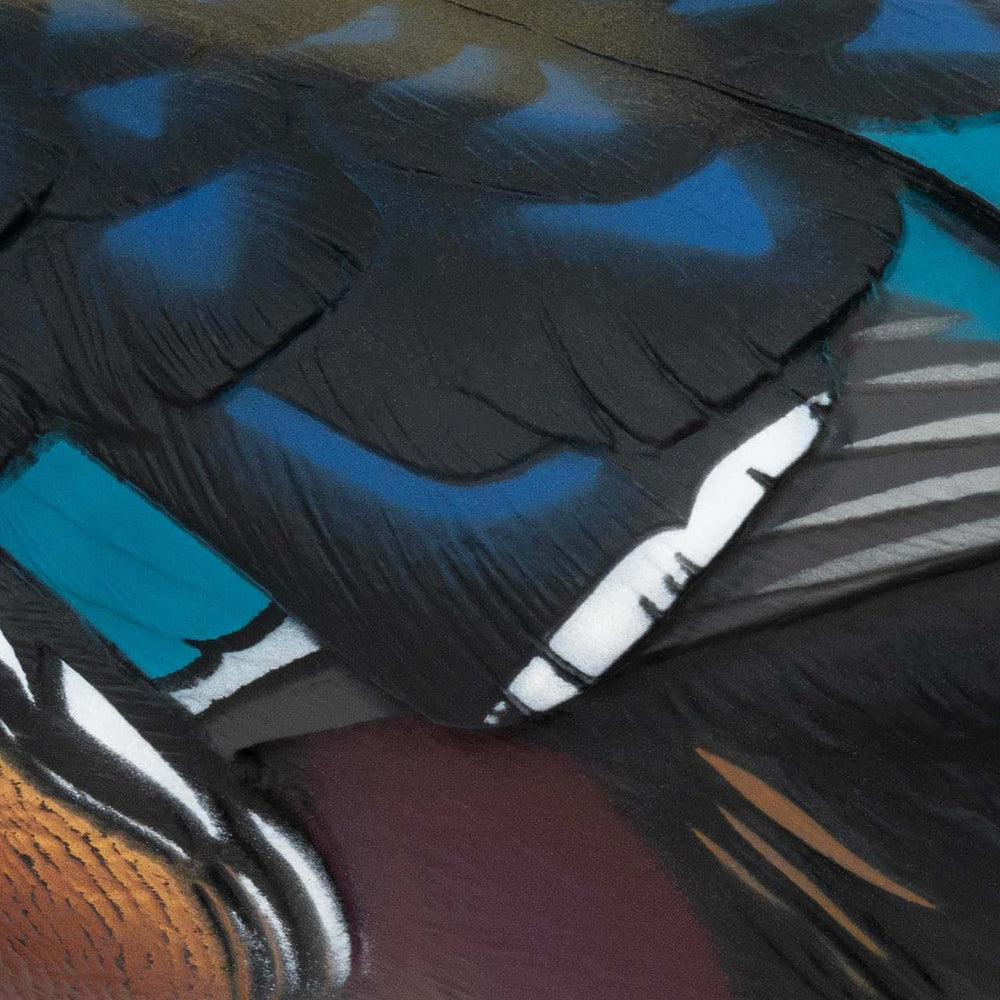 Final Approach Live Wood Duck Decoy six-pack layout for versatile hunting setups