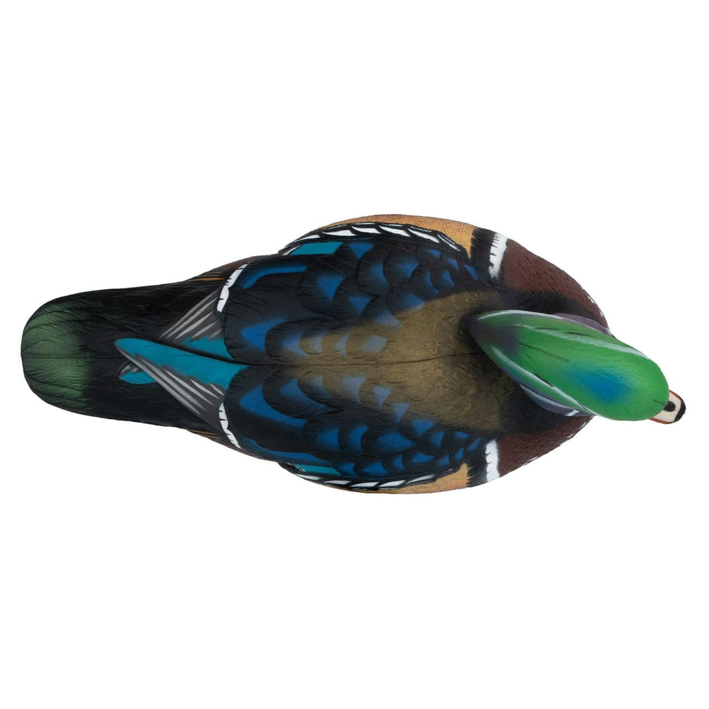 Final Approach Live Wood Duck Decoy six-pack ready for quick deployment