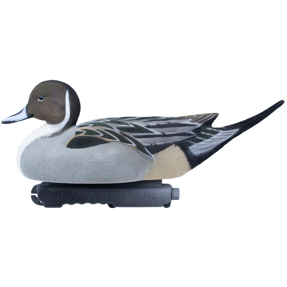 Final Approach Pintails 6-Pack feather detail aiding authentic decoy appearance.
