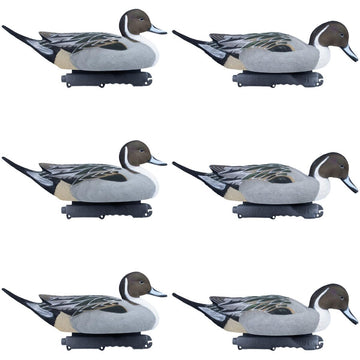 Final Approach Pintails 6-Pack front view shows lifelike flocking for a realistic waterfowl spread.