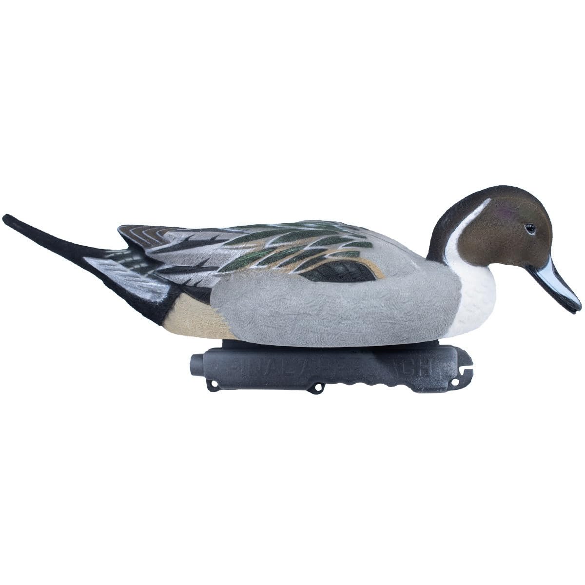 Final Approach Pintails 6-Pack includes three surface feeder drakes for natural movement.