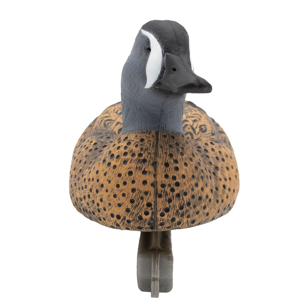 Final Approach blue-winged teal paint scheme replicates common early-season plumage.