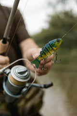 FinBite Jointed Lure 3-Pack Shad pattern swimbaits
