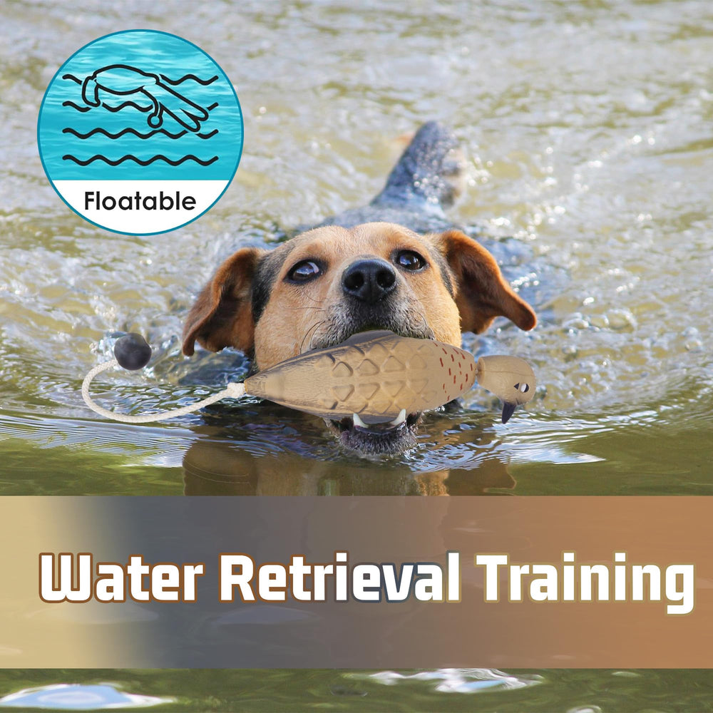 fingig dove-dummy-bumper-pack-of-2 convenient training kit for retrievers