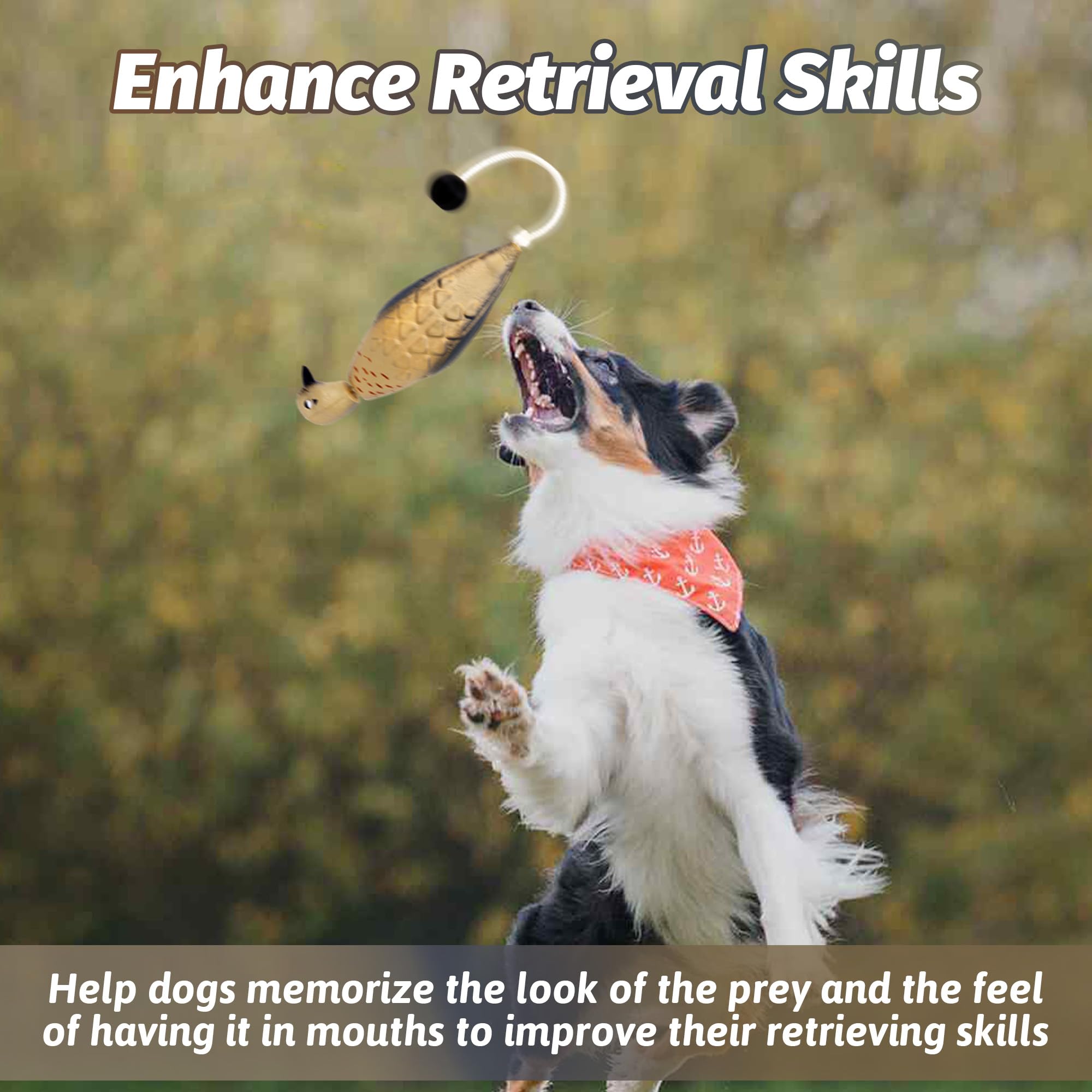 fingig dove-dummy-bumper realistic-design engages dogs during training