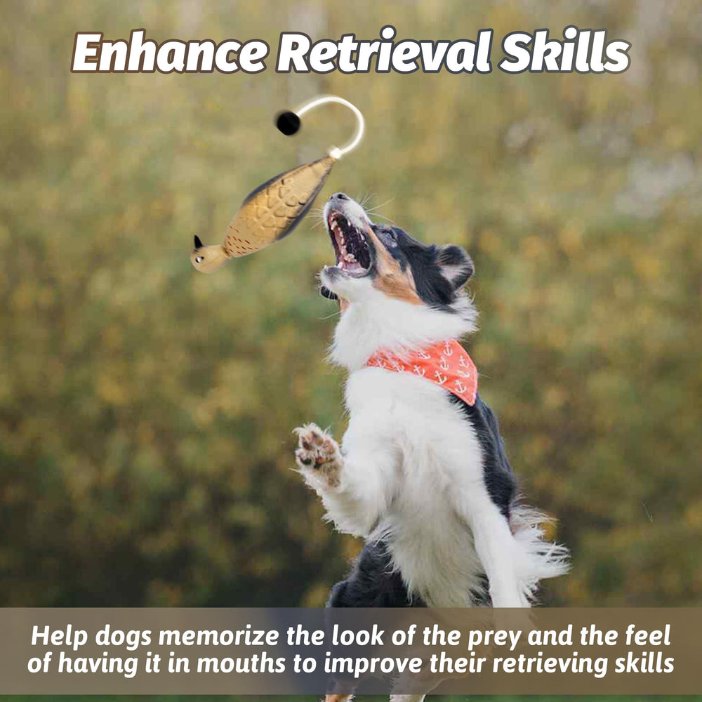 fingig dove-dummy-bumper realistic-design engages dogs during training
