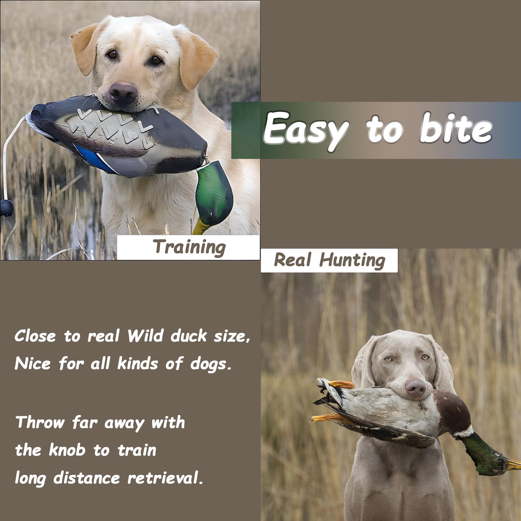 fingig duck dummy bumper bounce-action shows playful fetch and recall cues