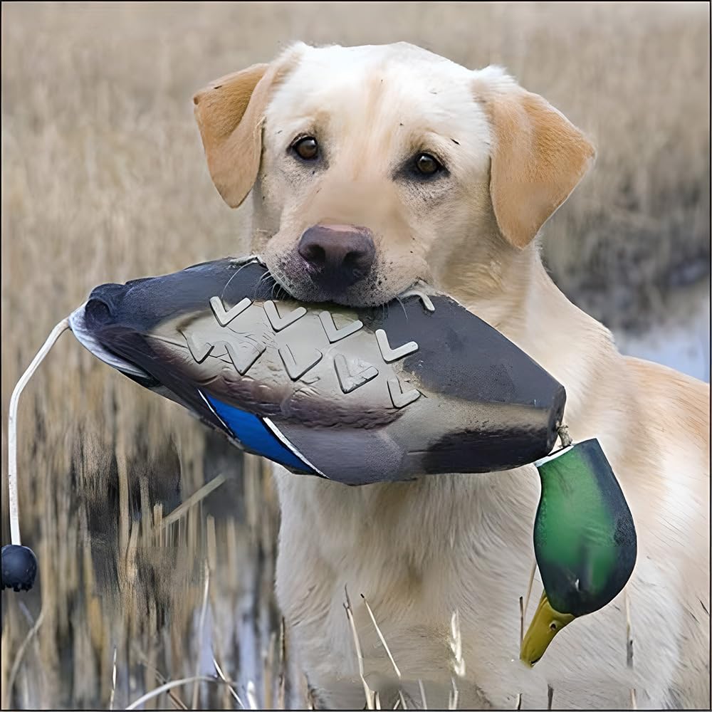 fingig duck dummy bumper foam-texture emphasizes chew-resistance during play