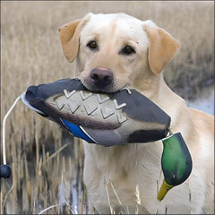 fingig duck dummy bumper foam-texture emphasizes chew-resistance during play