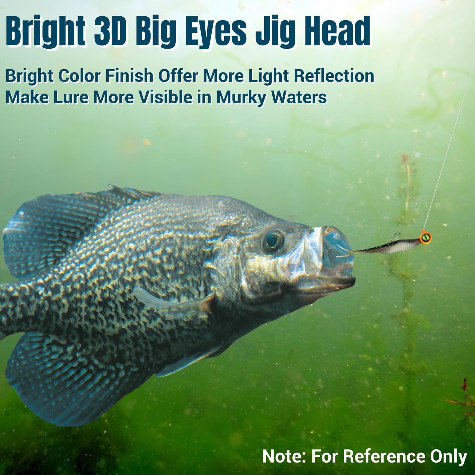 Wired bait keeper feature highlighted on FINOSEAK jig heads