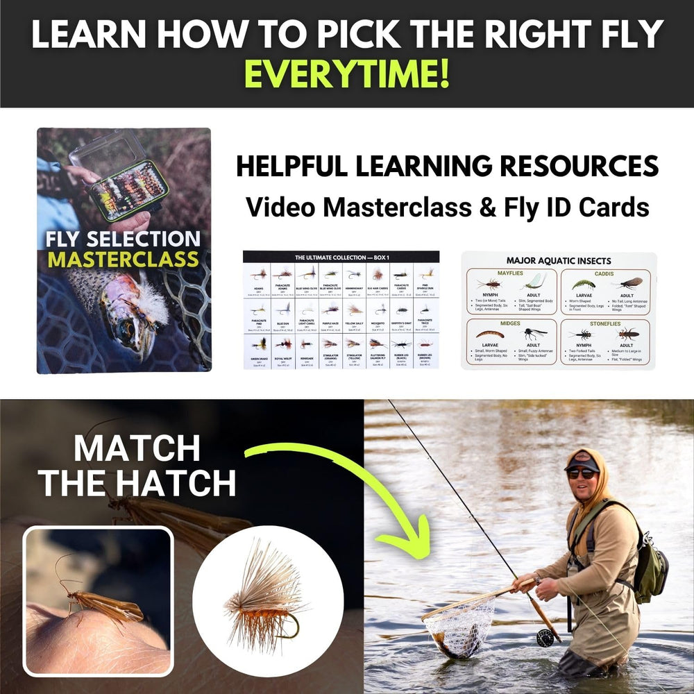 High-quality, fish-approved flies ready to fish