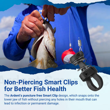 Fish conservation culling system for tournament conditions