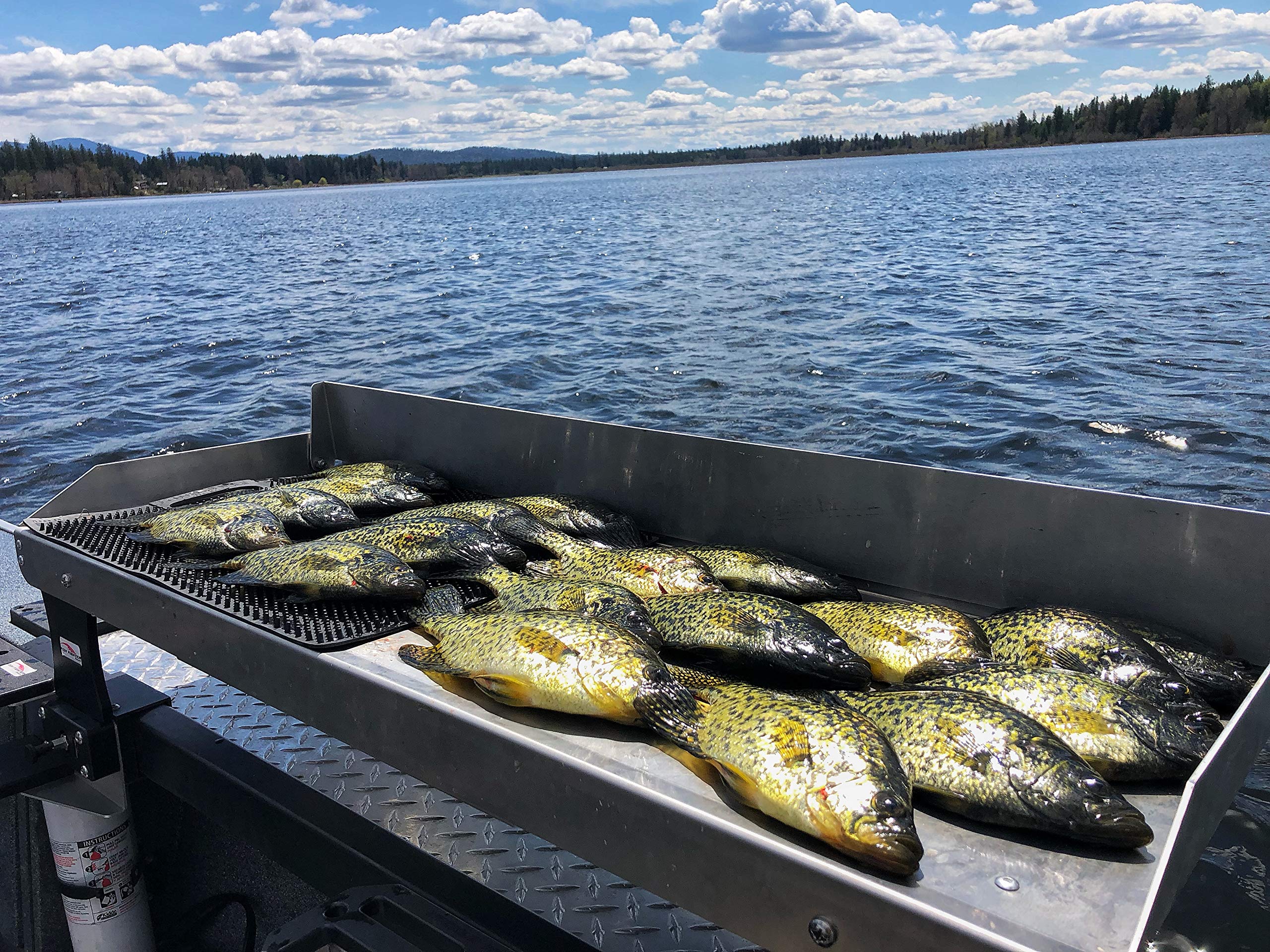 Fish Fighter compact boat filleting table improves workflow during trips.