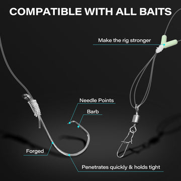 Rig designed for freshwater and saltwater fishing