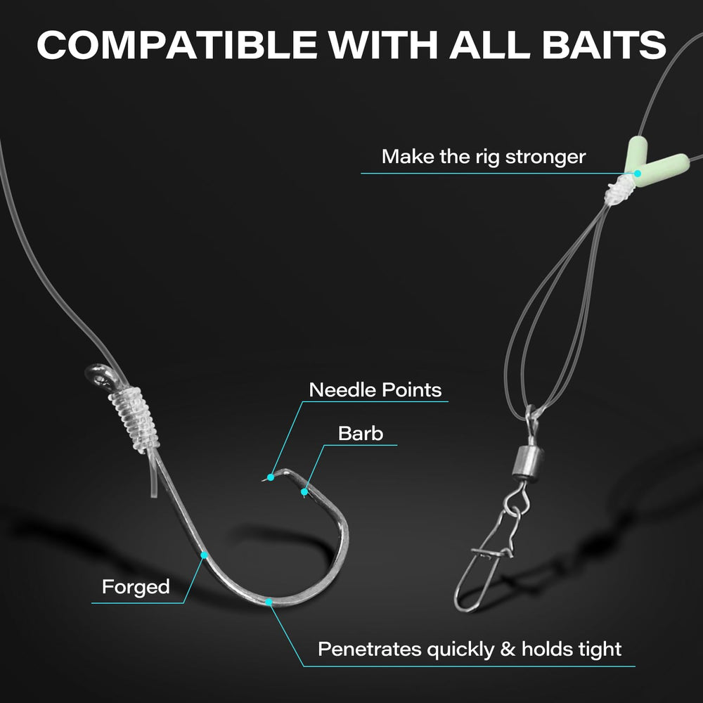 Rig designed for freshwater and saltwater fishing