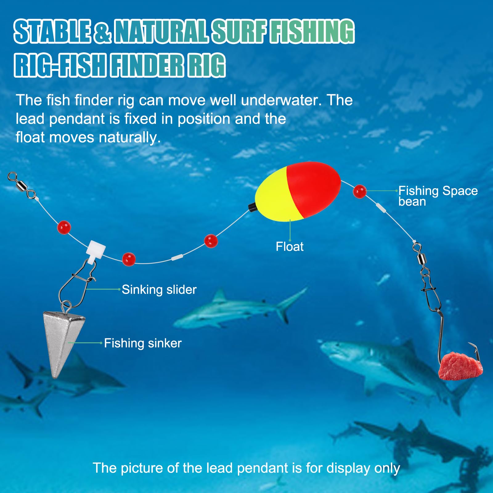 Versatile fish finder rig suitable for saltwater and freshwater species