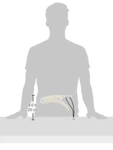 Close-up of glow-in-the-dark jaw design with float, lanyard, and scale slot