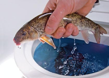 Electrolyte addition and contaminant removal from FISH KRACK.