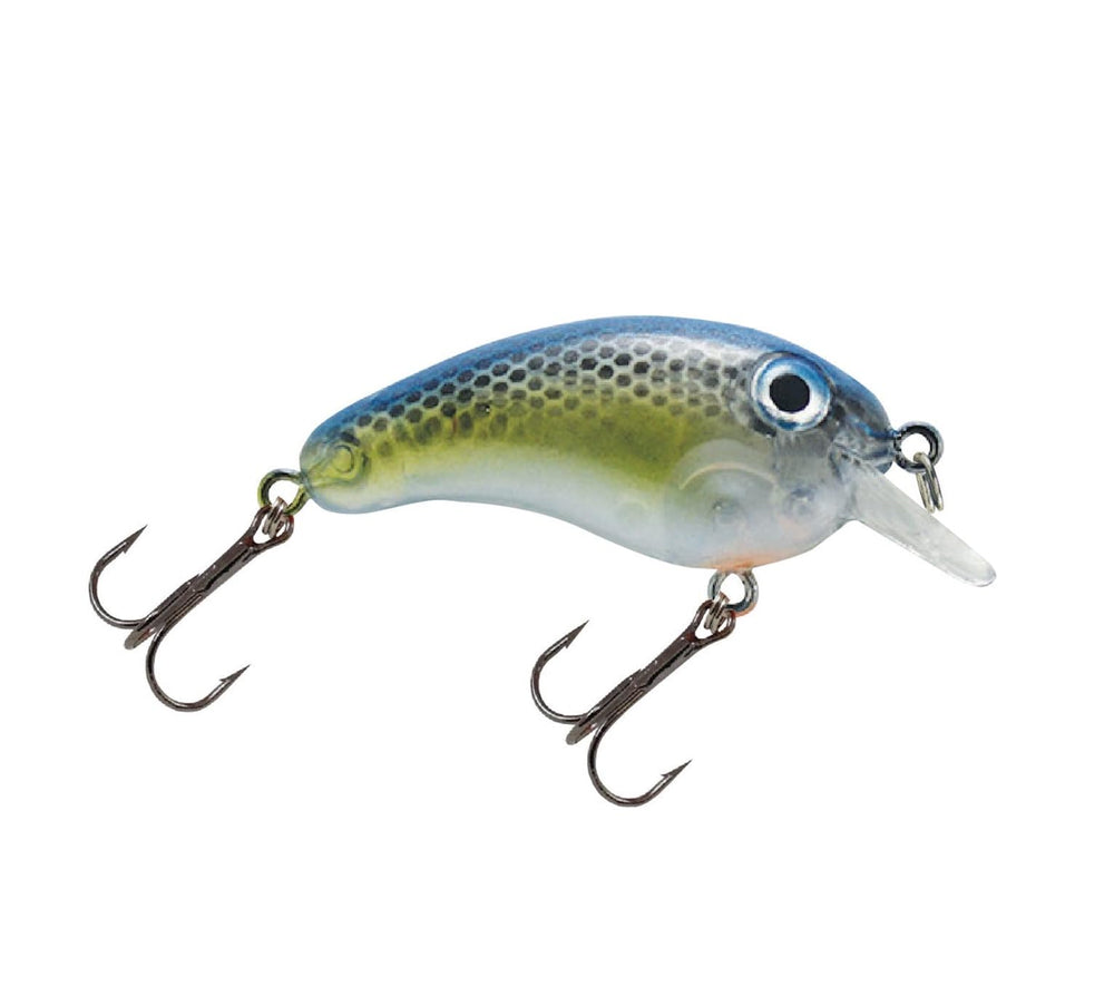 Luck E Strike Crappie Magic crankbait in blue back shad, ideal for shallow cover.