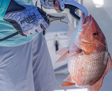 Extended cuff on Fish Monkey gloves protecting forearms from sun and abrasion