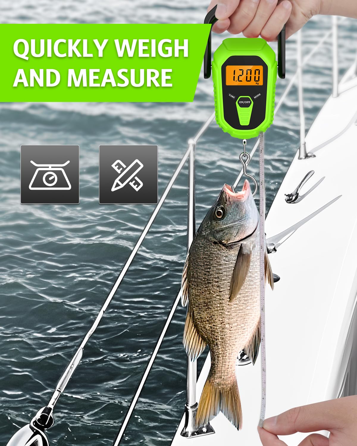 Hook and clamp components of the digital fishing scale