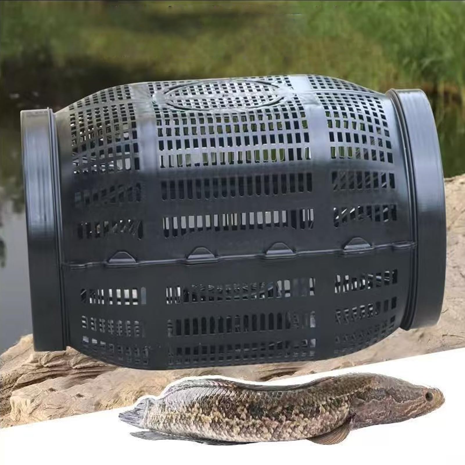 Fish Trap multi-species trap catches fish shrimp crab eel and turtle
