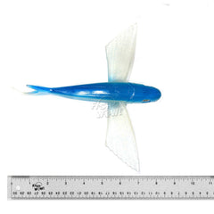 Fish WOW! 8-inch Flying Fish with rectangular belly hole improves hook placement.