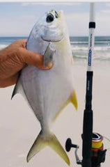 FishBites Signature Series Surf Rod 12ft guide close-up with premium Fuji components