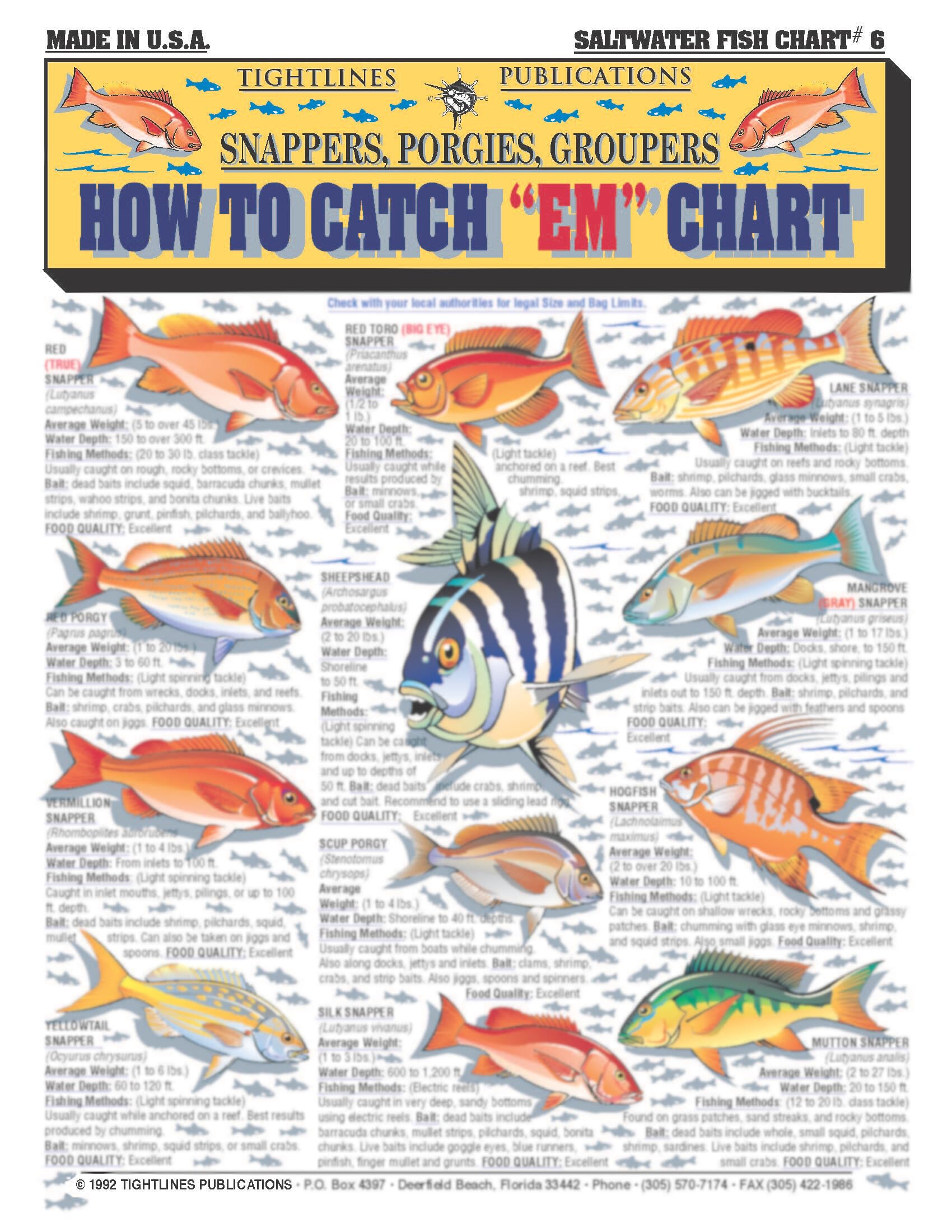 Close-up of illustrated fish species in the guide