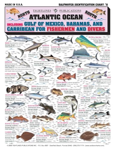 Open guide with double-sided fish illustrations - page 2