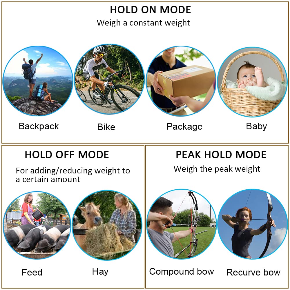 Hold and peak hold features for convenient weighing