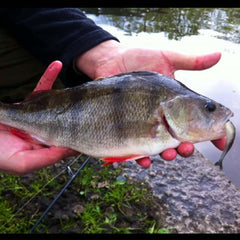 Floating body drop shot lure for freshwater and saltwater