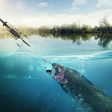 Fishing Bait Holder with spring cage ensures steady bait release for bottom fishing.
