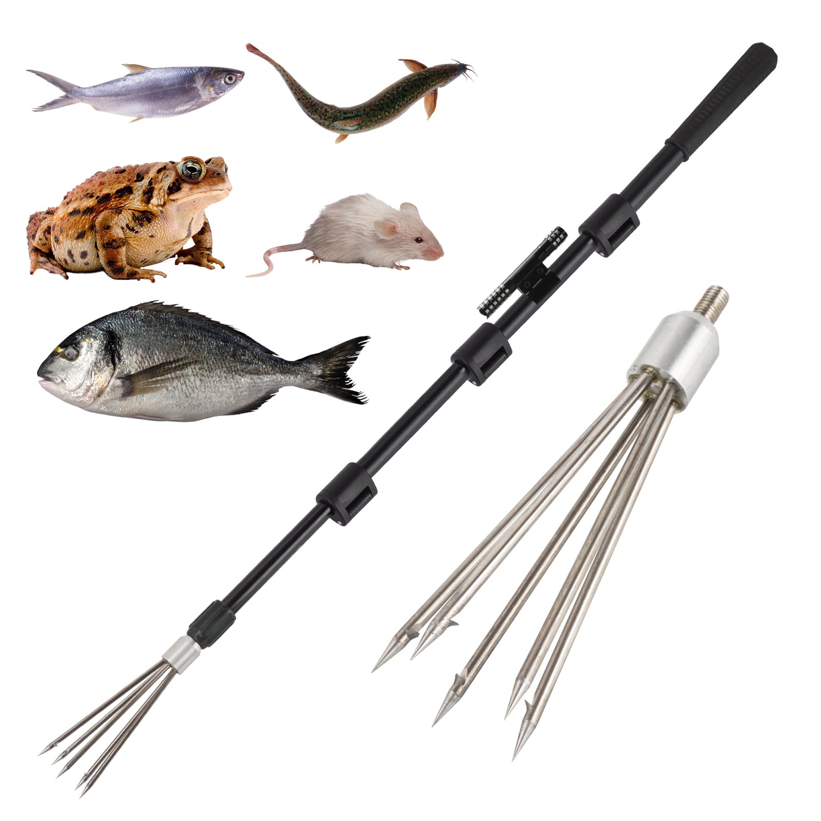 Fishing harpoon spear with multi-tooth design