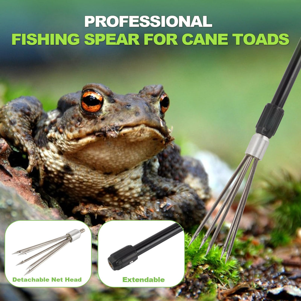 Harpoon spear tool designed for catching frogs and toads