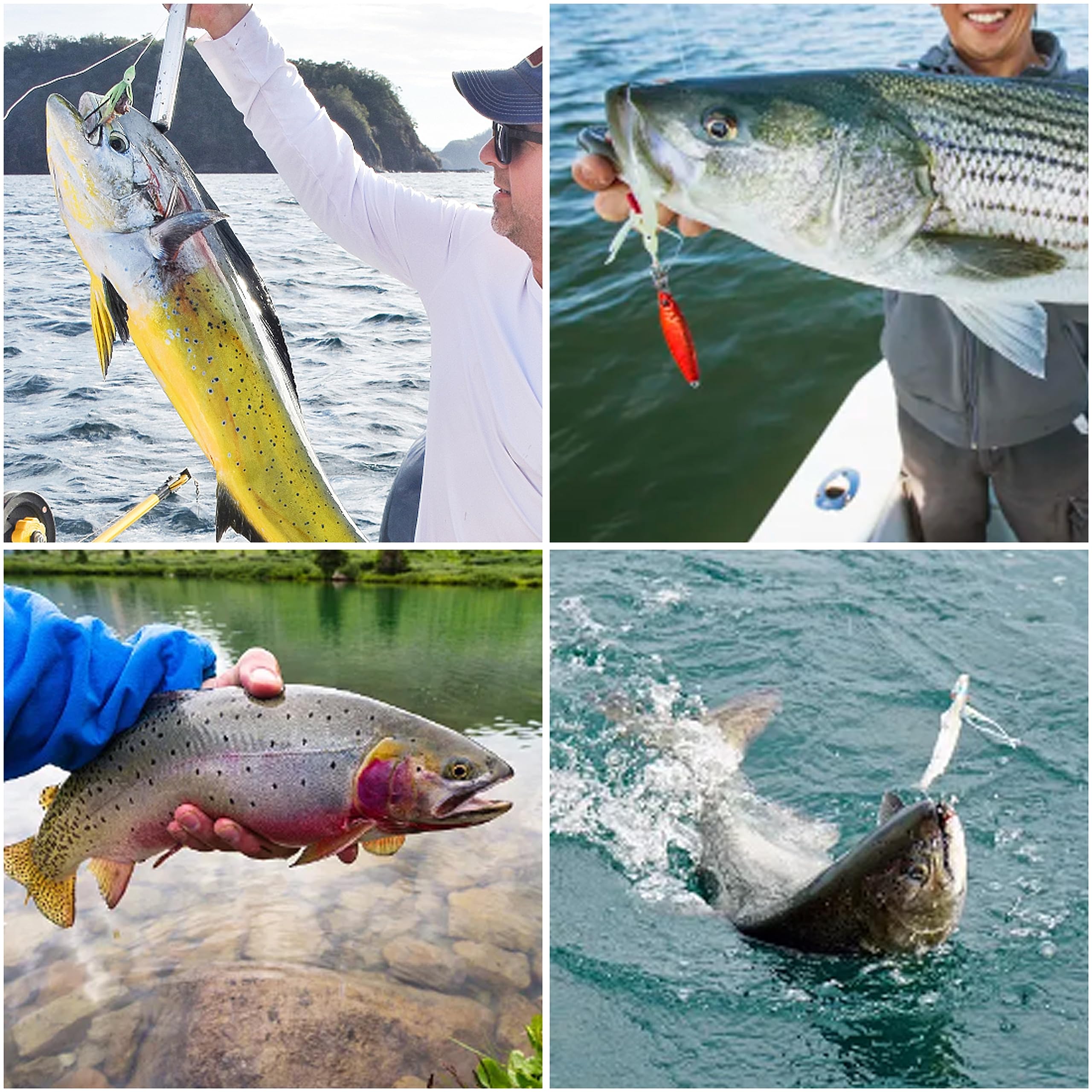 Bottom and surf fishing applications for 12-pack leaders