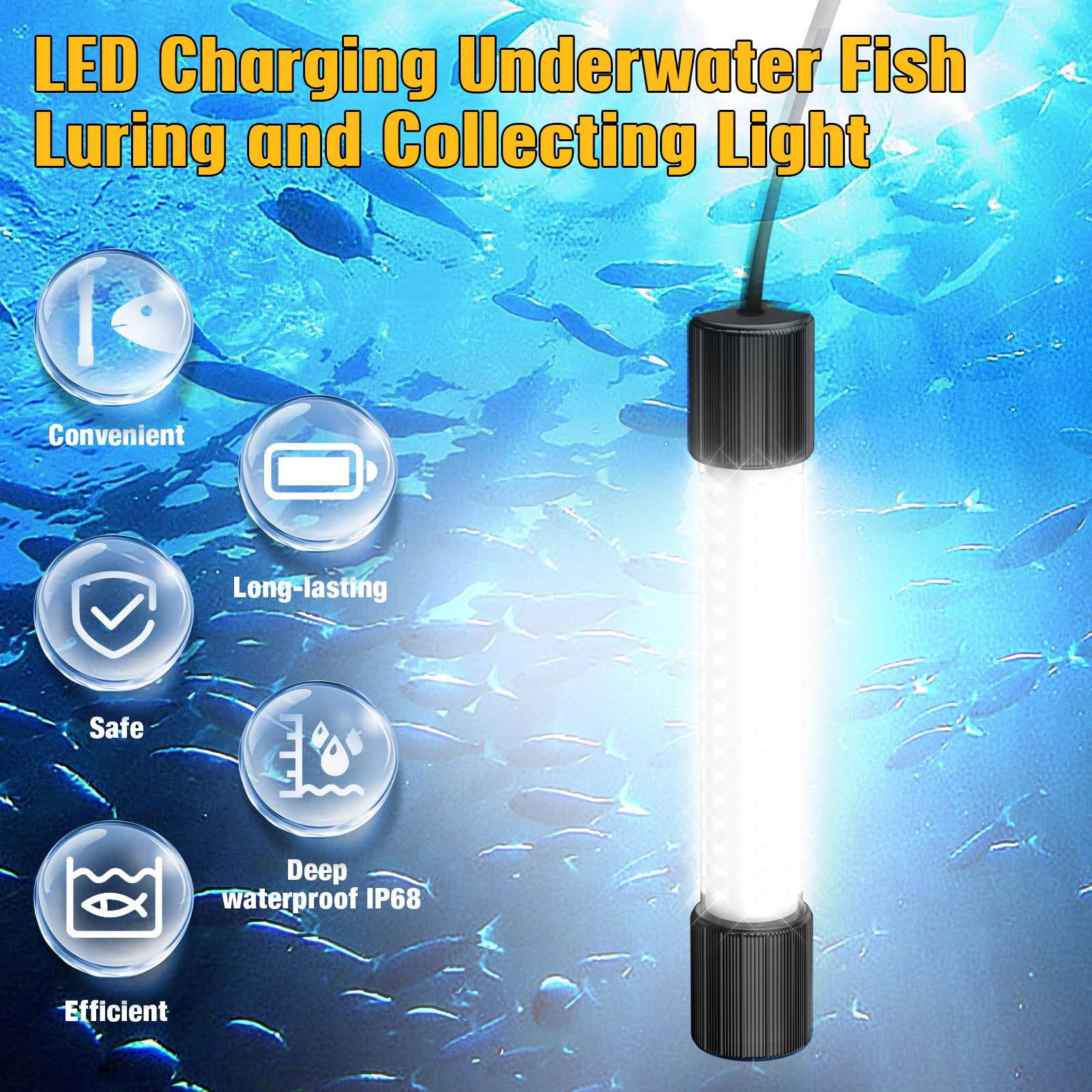 Light attracts a variety of fish species