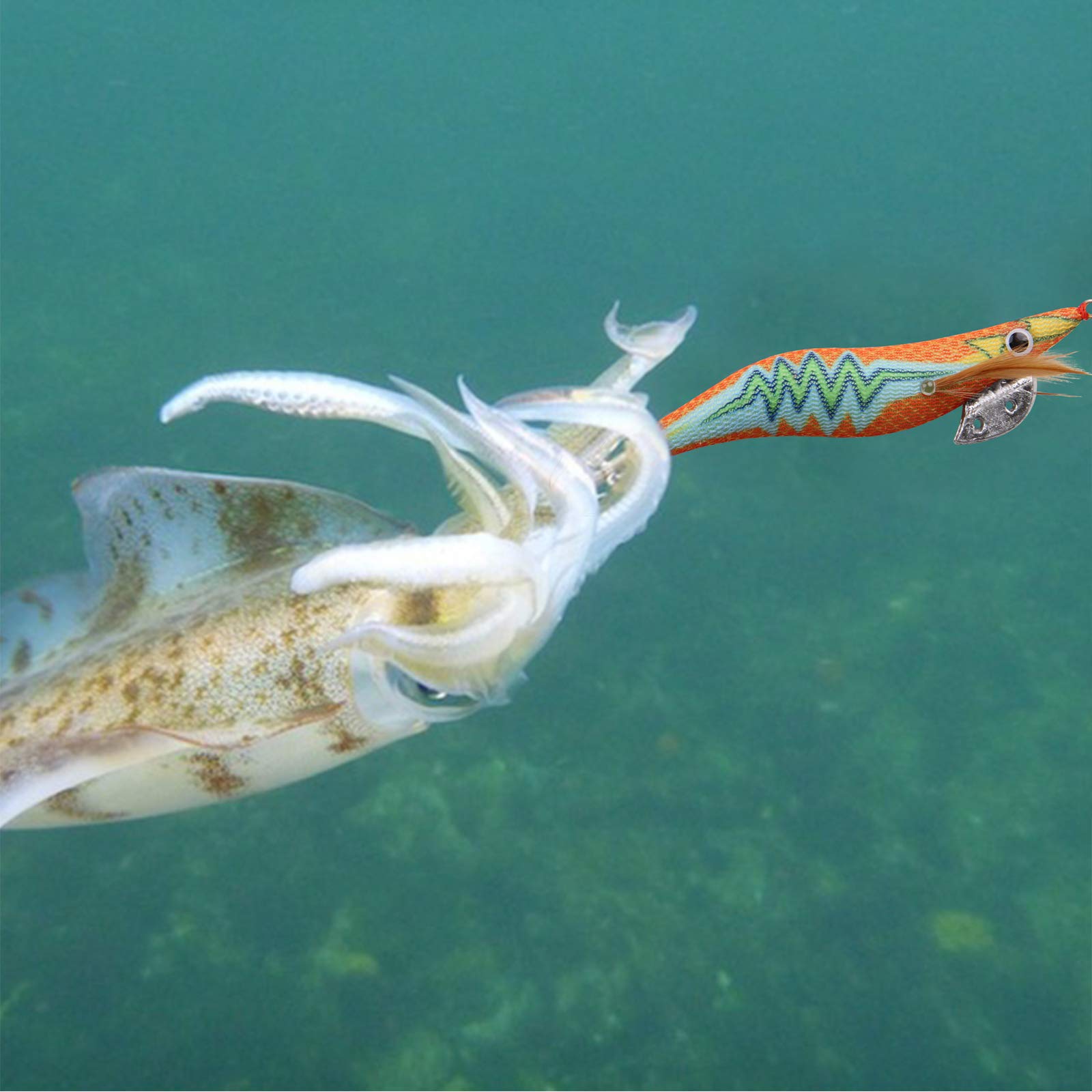 10 colored shrimp lures packaged in translucent box
