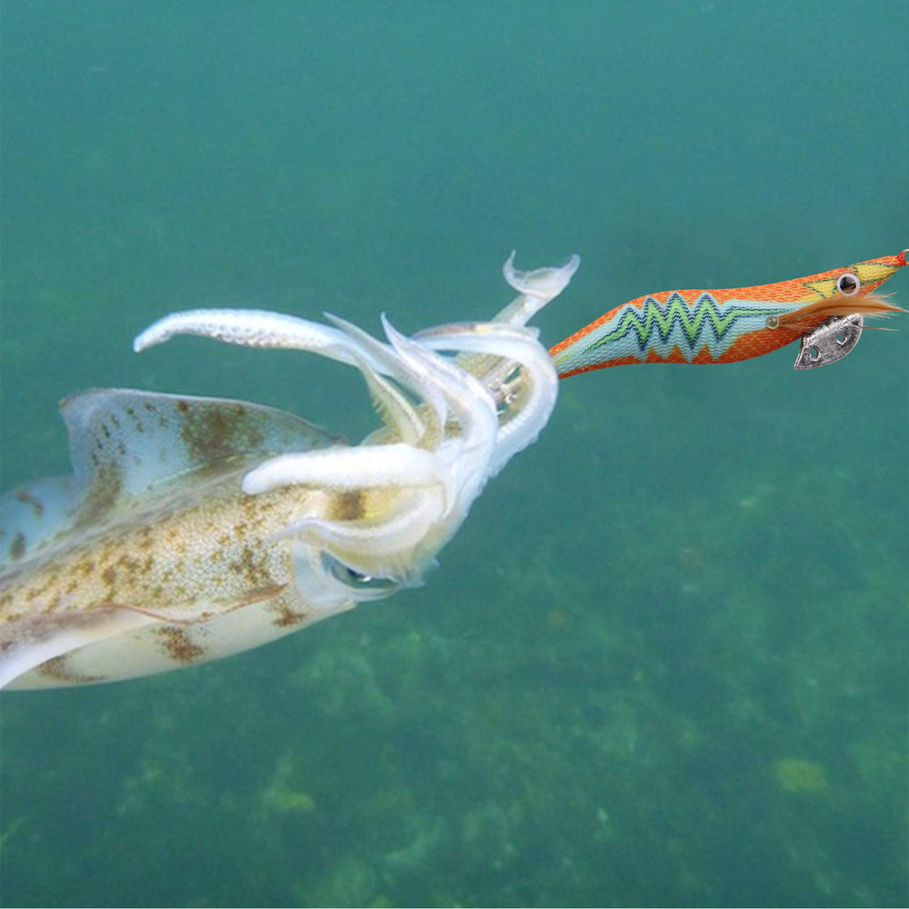 10 colored shrimp lures packaged in translucent box