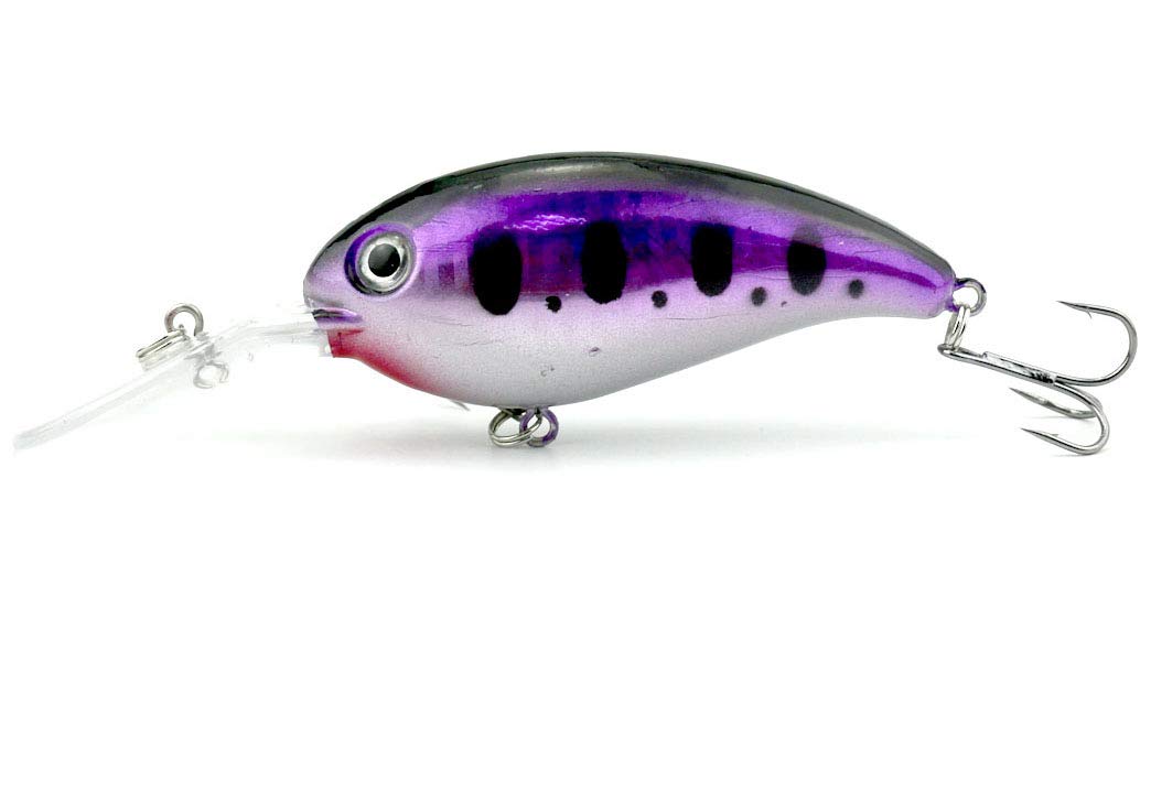 Fishing Lures internal metal ball creates audible action to draw curious fish.